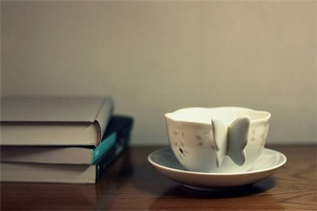 大專學歷可以先報考河北中學教師資格證嗎?
