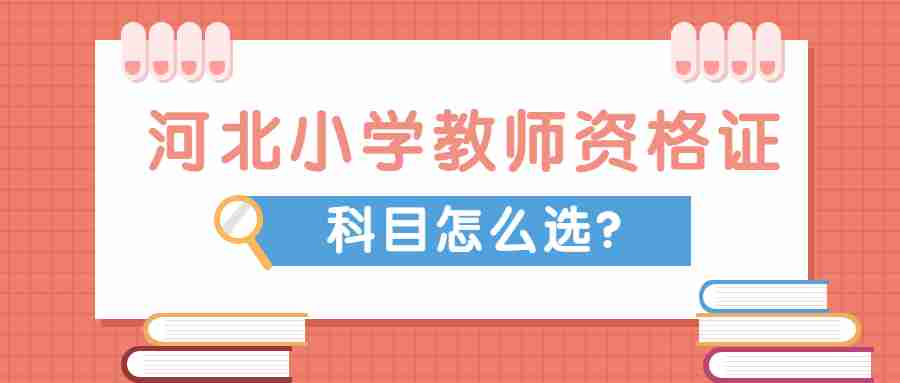 河北小學教師資格證